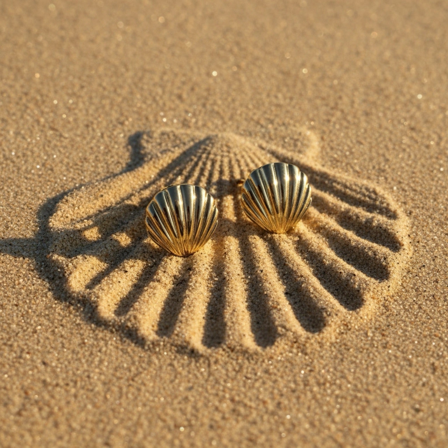 𝖲𝖠𝖡𝖤𝖭𝖣𝖠 Shell Earrings